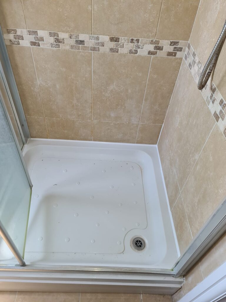 Toilet Installation and Repair